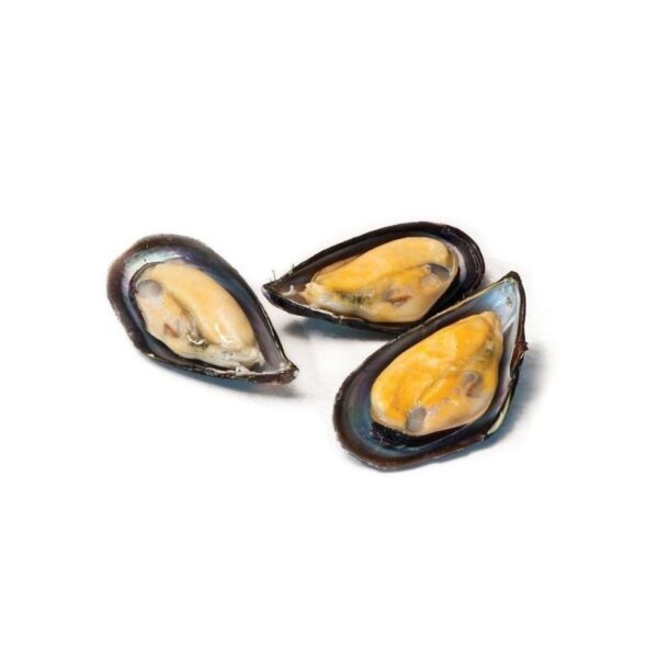 Mussel Half Shell 800 tot 900g nett